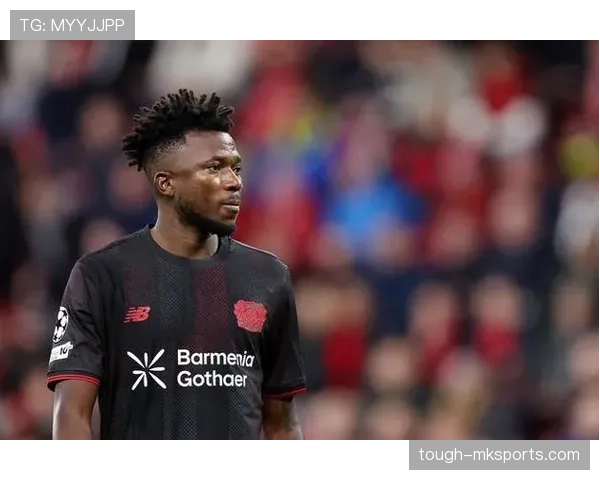 塔普索巴稳定输出